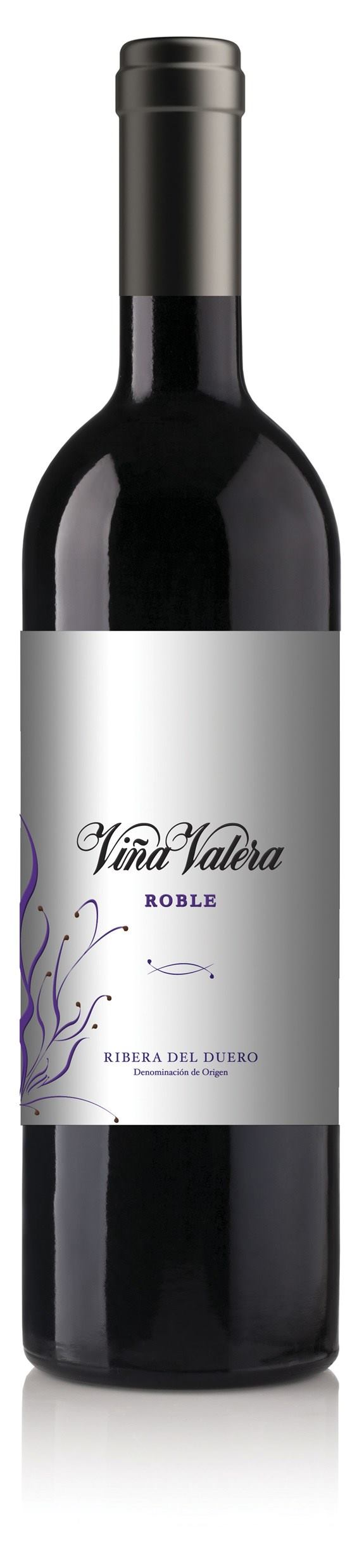 ROBLE_VinaValera